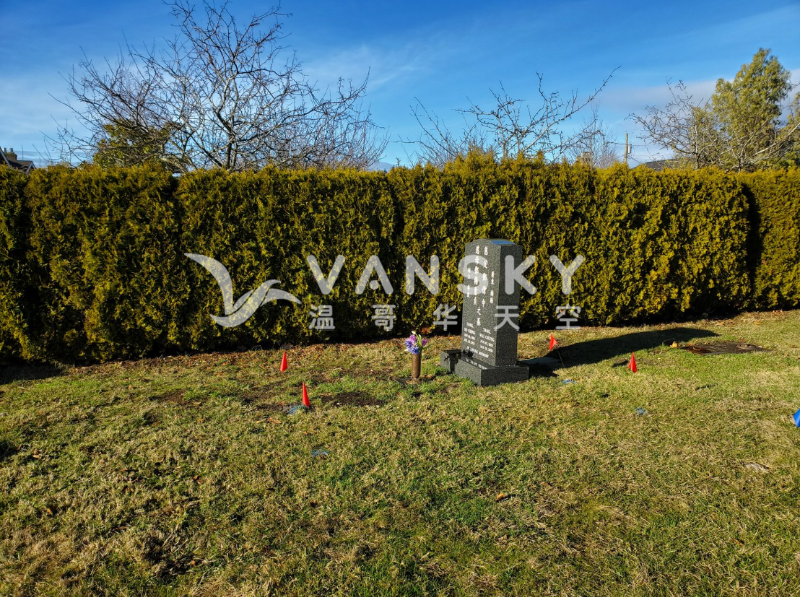 250312015429_Screenshot 2025-03-12 165320.png